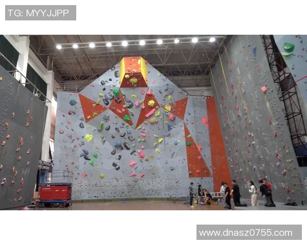 武汉攀岩队心理素质排名第一最新攀岩心理素质TOP10揭晓